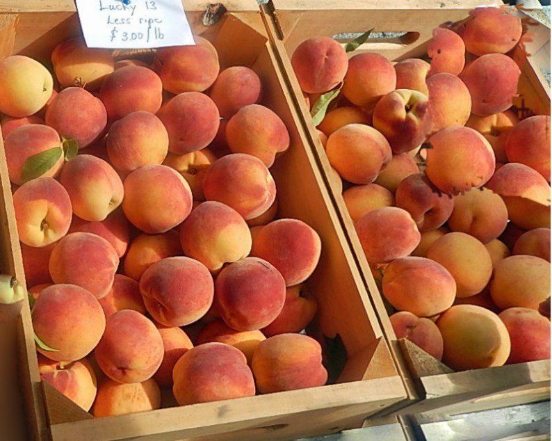 Peaches will be in markets soon