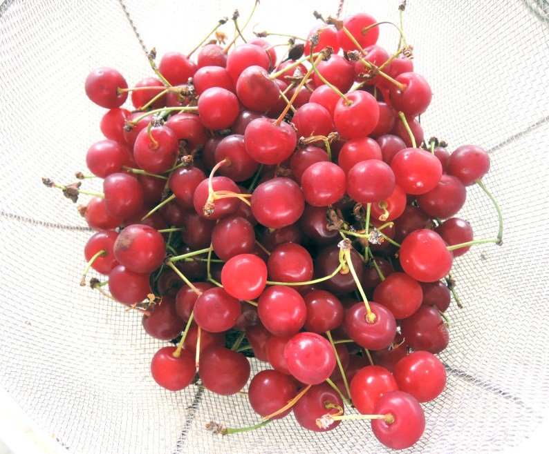 Sour cherries