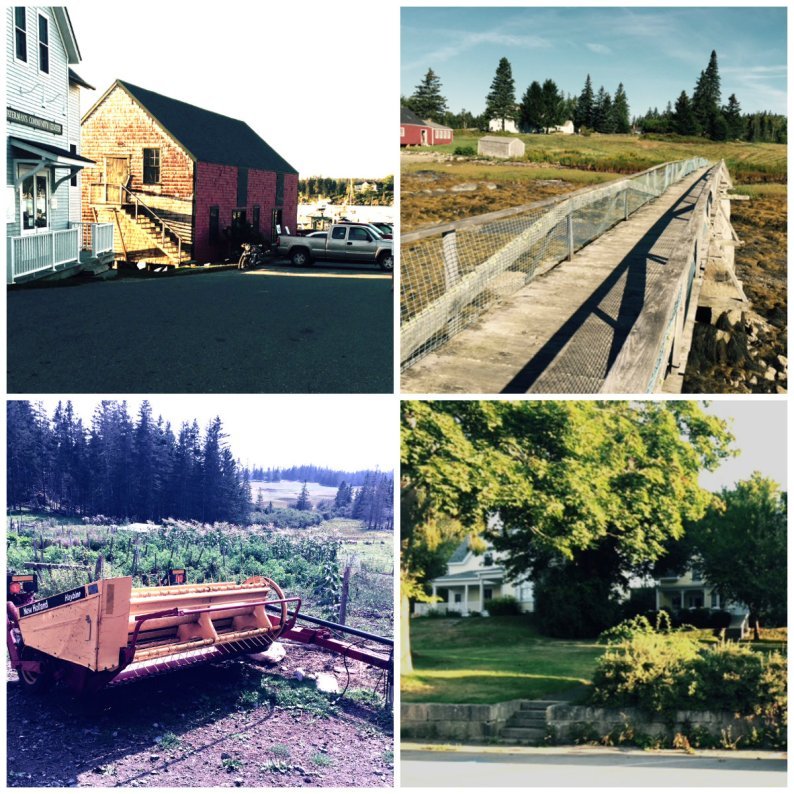 Clockwise, Brown's Wharf, Ames point, picking corn at Foggy Meadows Farm, Main Street