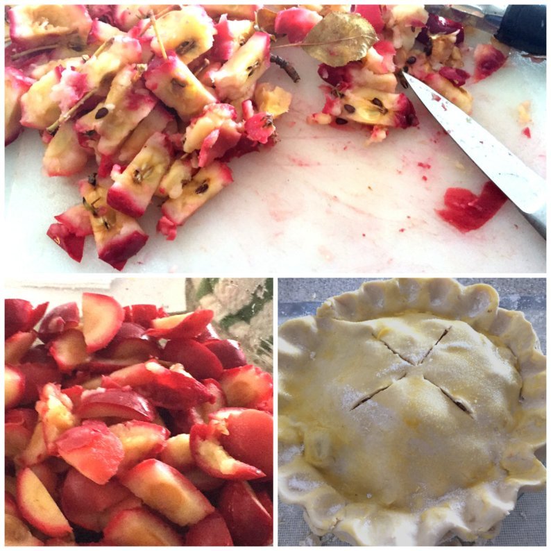 Clockwise: the trimmings from around the core are discarded; cut pieces of crabappble in glass measure and the finished prep is to glaze the pie with an egg wash and sprinkling of sugar