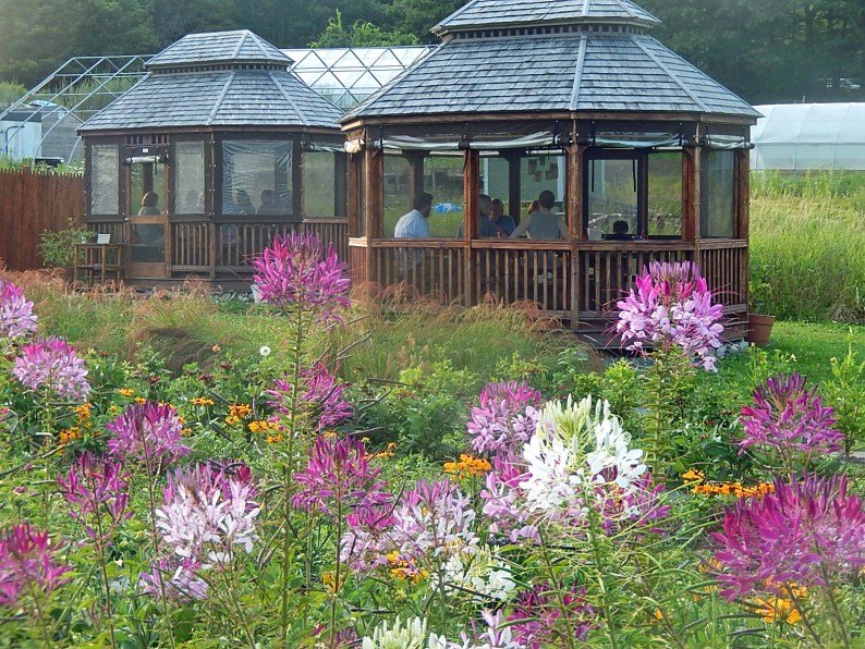 As summer progresses the fields of flowers will surround the gazebos in a canvas of summer color