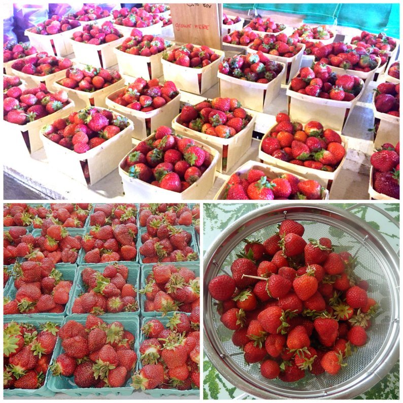 Glorious Maine strawberries